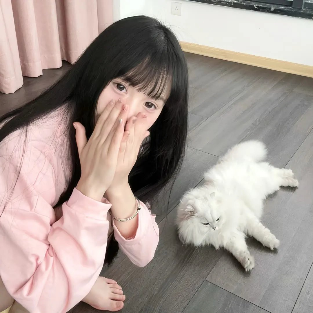 东方秃鹰